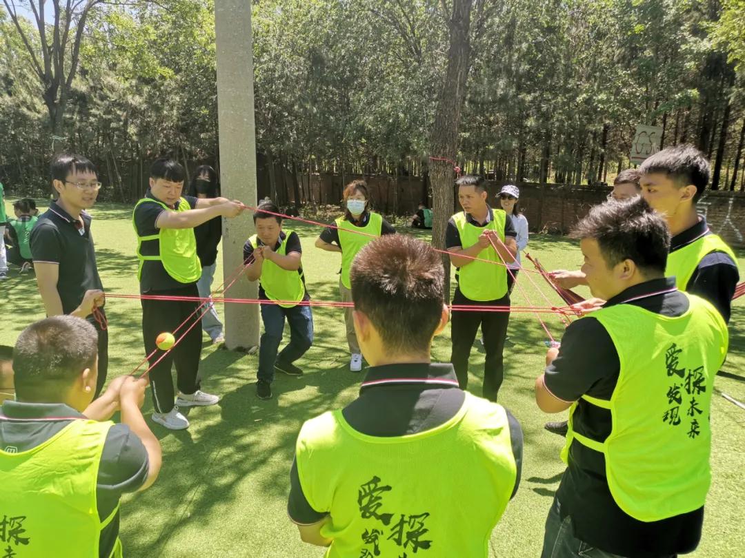 凌阳科技有限公司,凌阳科技单片机