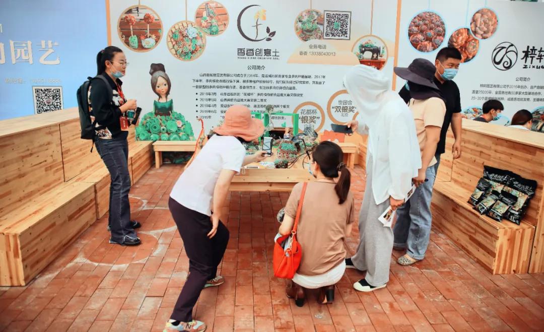 这个年销量上亿株多肉的县城，举办了首届多肉电商节
