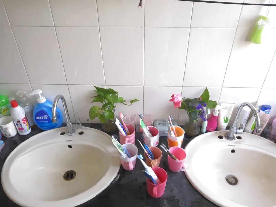 湖北交通职业技术学院单招好考吗,单招选择交通职业技术学院的理由