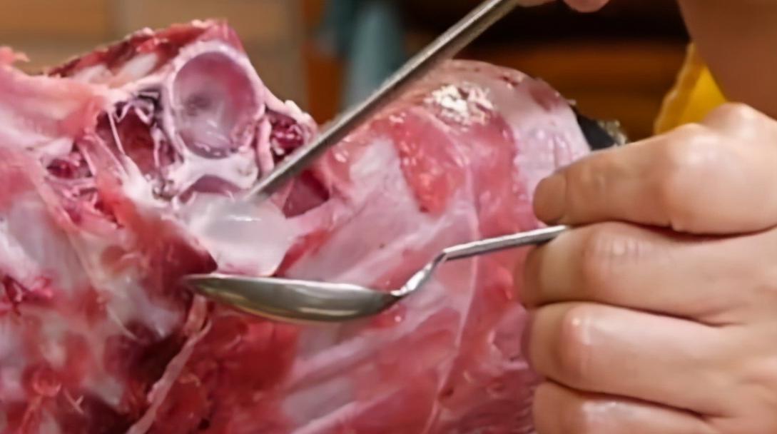 日本顶级大厨切鱼,日本大厨杀700斤金枪鱼