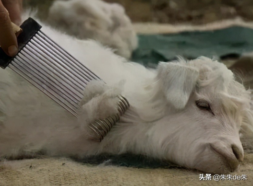 服装面料知识大全优缺点详细介绍,服装人必须懂的50种面料知识