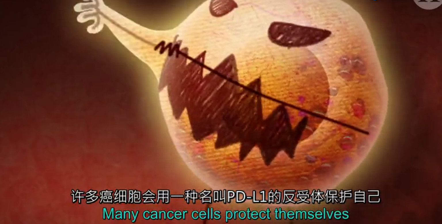 pd1肿瘤免疫治疗现状,什么是pd1免疫治疗费用