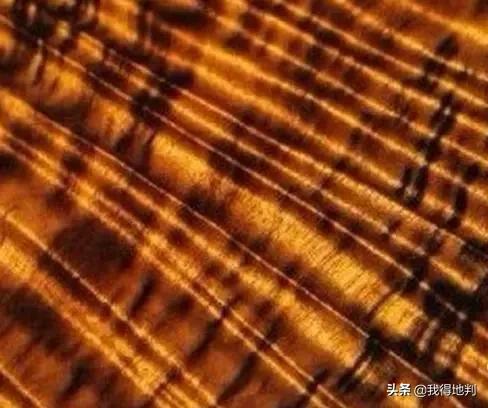 金丝楠纹理鉴赏,金丝楠阴沉木极品纹理集合