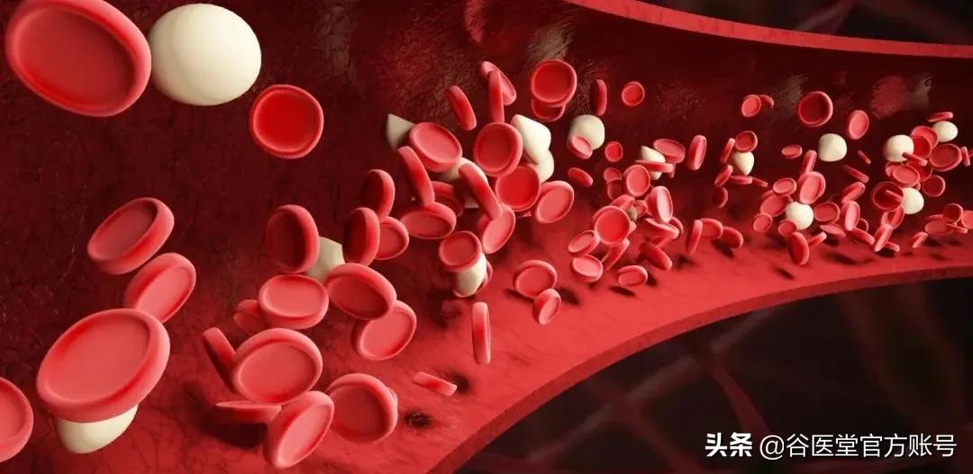 糖尿病各种并发症会导致死亡吗,糖尿病引起心脑血管并发症的几率