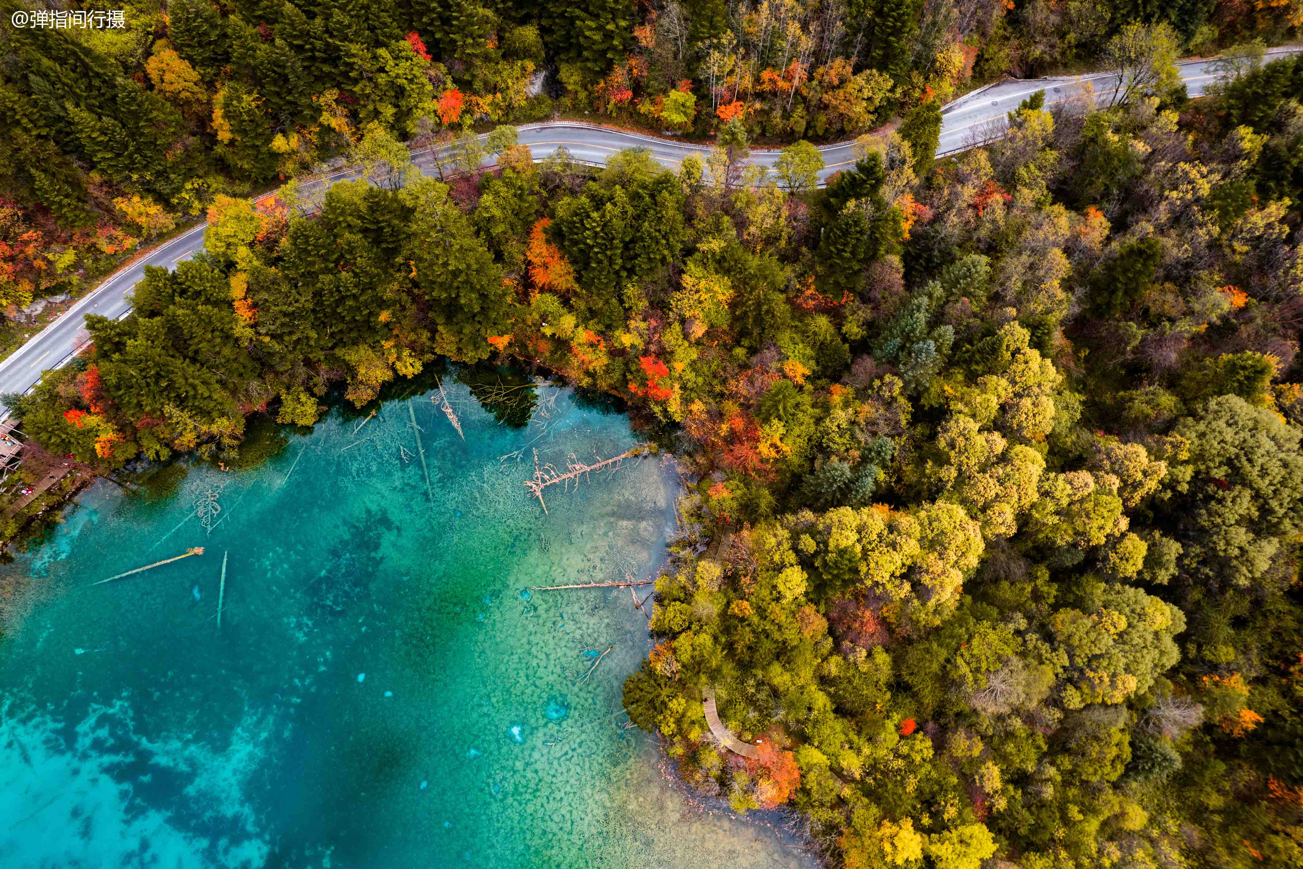 九寨沟最“仙”的景点:秋色宛如彩色梦境,堪称“九寨沟一绝”