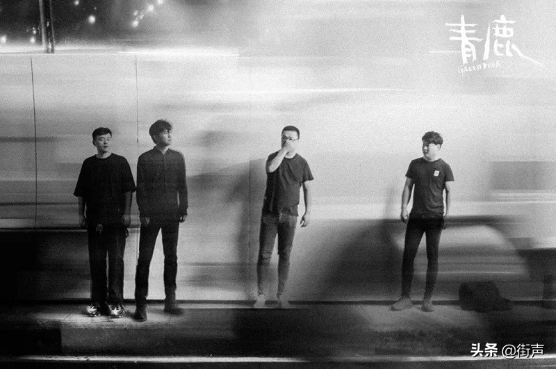 街声大登陆｜一起到现场守护最好的扬子鳄