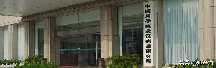 舆论中心的武汉病毒所,“神药”瑞德西韦背后的知识产权问题