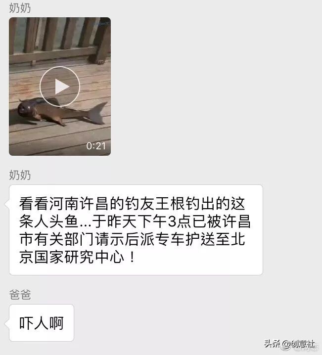 沙雕之间笑喷的聊天记录,沙雕日常搞笑聊天记录