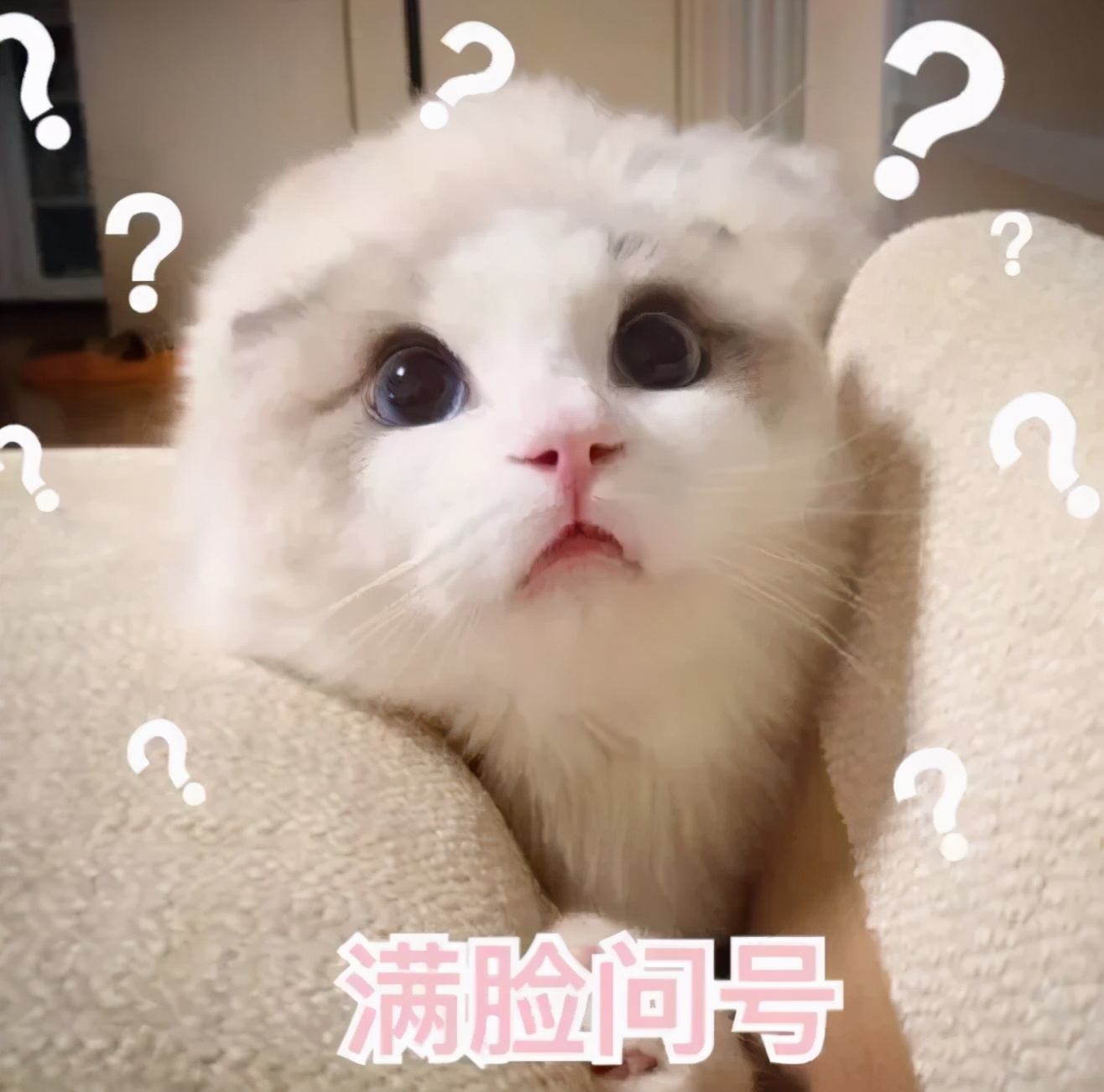 90%女性都中招的阴道炎，你该怎么防？