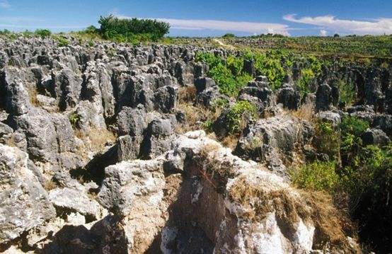 岛国靠鸟粪发财，富得流油，坐吃山空，今却要上演真实版流浪地球