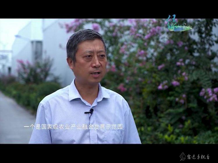 走进平原林海泗阳，一起感受辽阔壮美的泗阳之绿