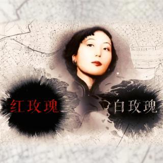 张爱玲留情电影完整版,张爱玲留情