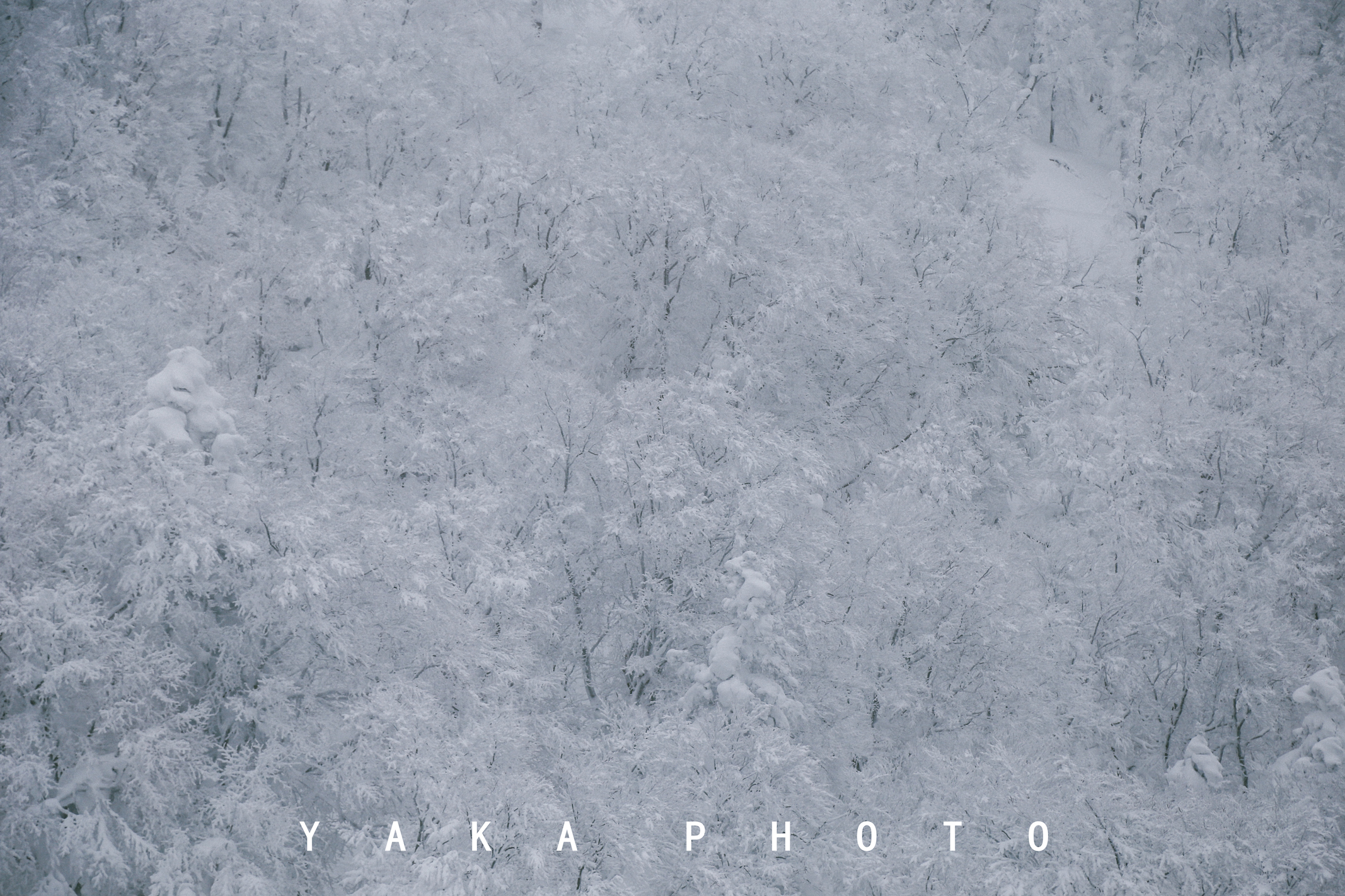 日本青森睡魔祭的寓意,青森星野度假村睡魔祭