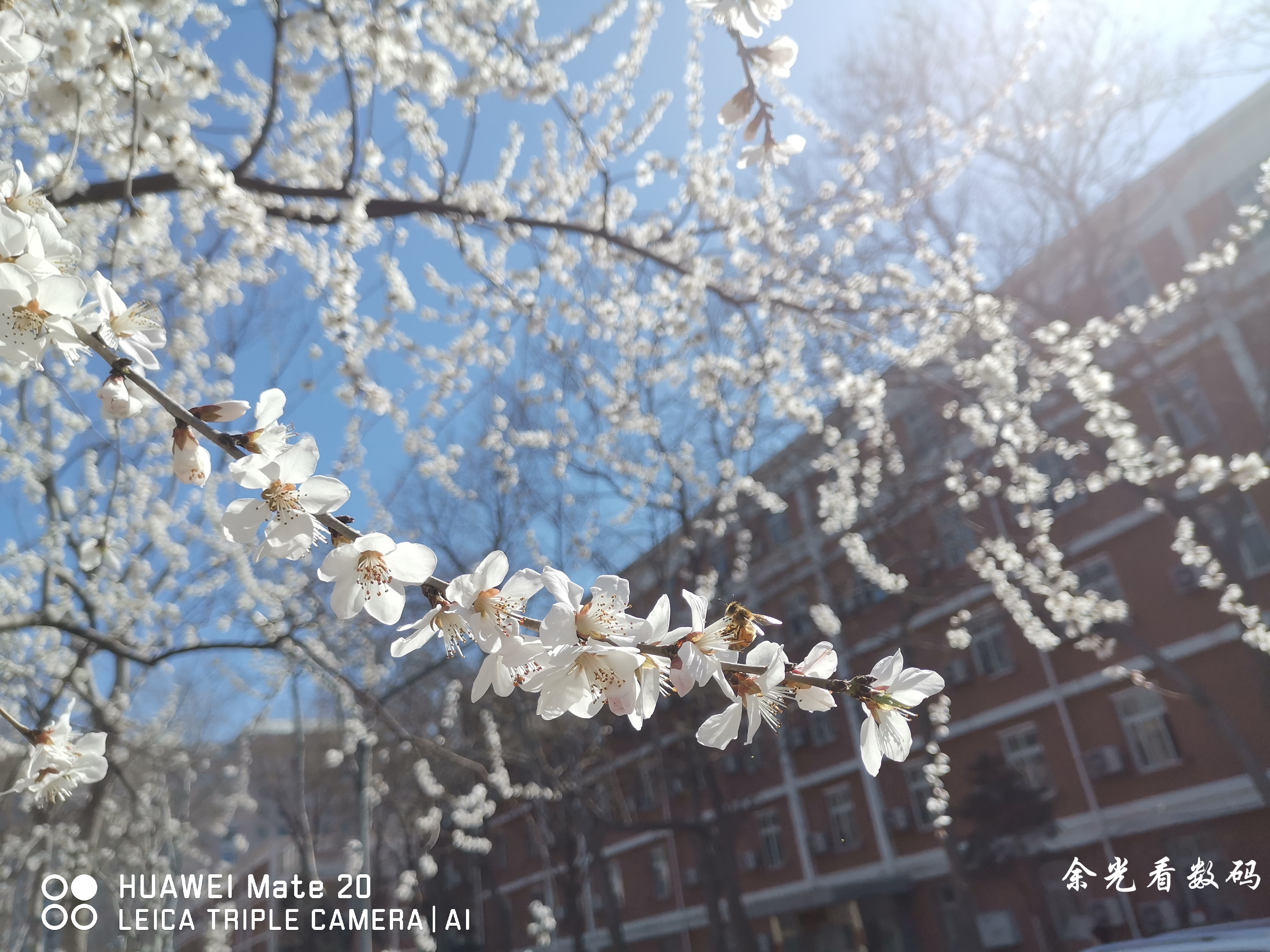 华为mate20拍照详细评测,华为mate20拍照效果怎么样