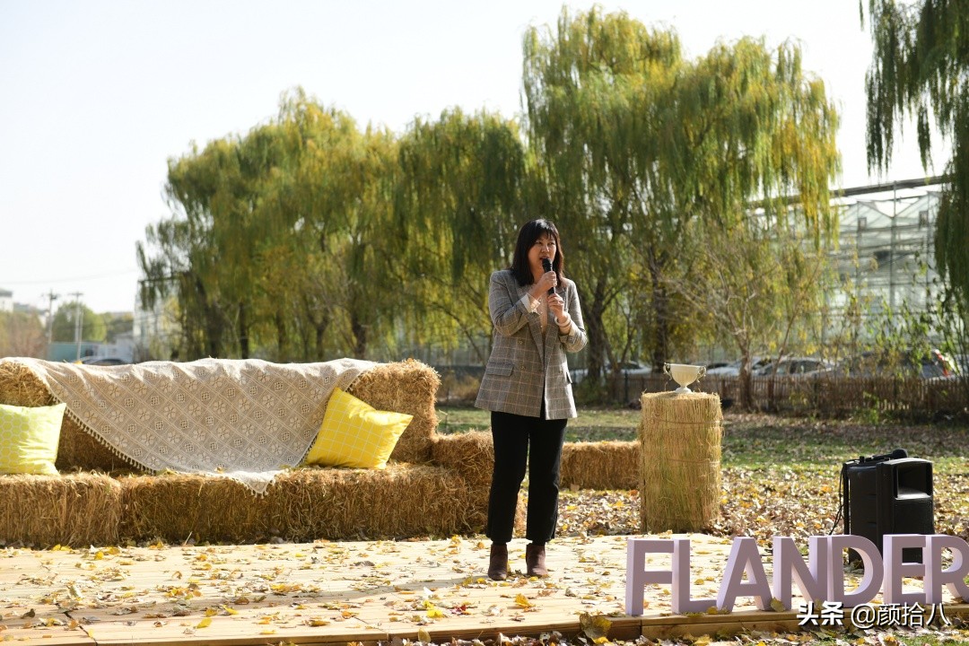 没有比利时花园游，来点比利时啤酒吧|随笔