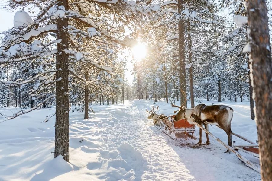 鎸▉娴疯竟灏忓矝,鎸▉灏忓矝涔嬫梾