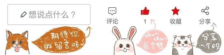 大学生宿舍养猫被发现后猫怎么办,宿舍养猫宿管检查