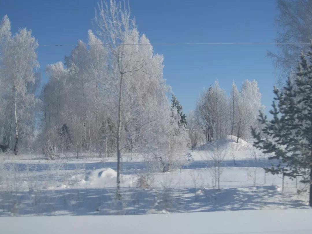 专家给46名糖尿病患者服用白桦茸（桦树茸），效果惊人