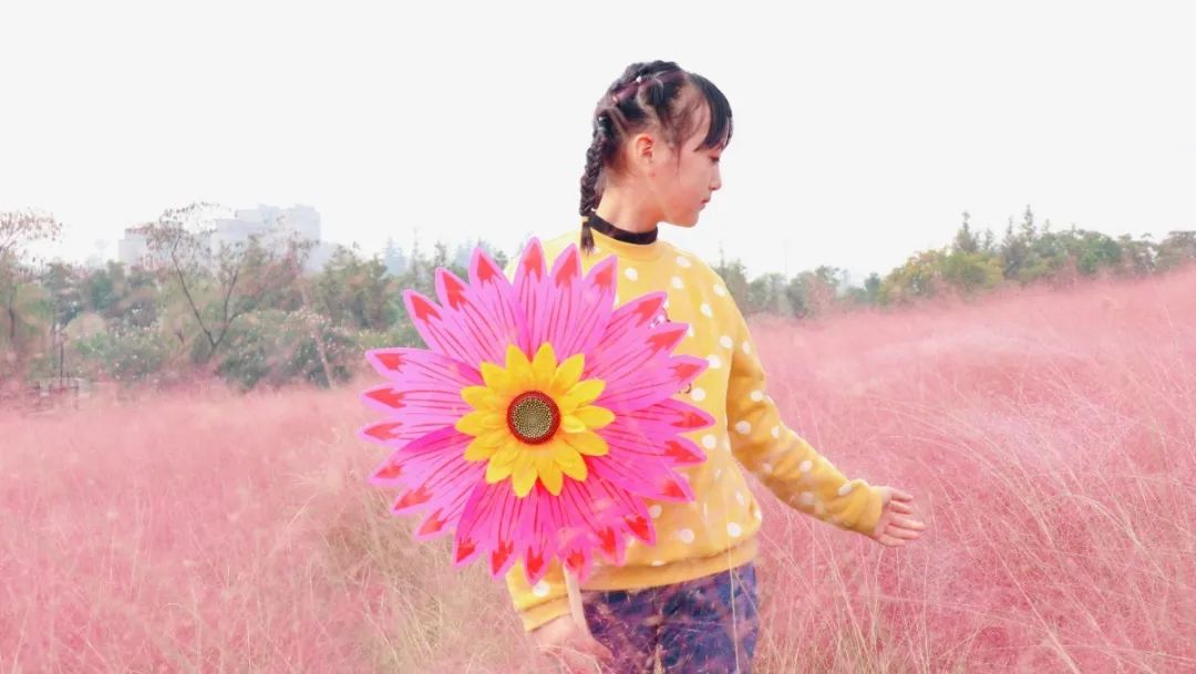 浦口好看的花海,浦口最好的花海