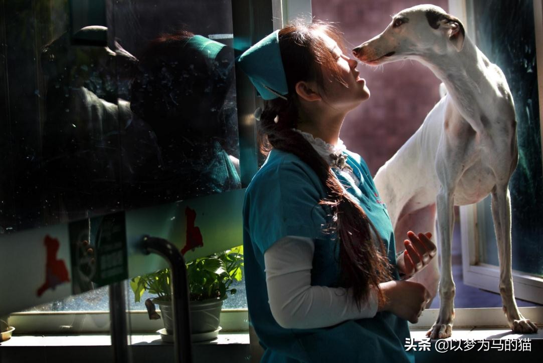 二本冷门专业好找工作,二本读什么专业好找工作