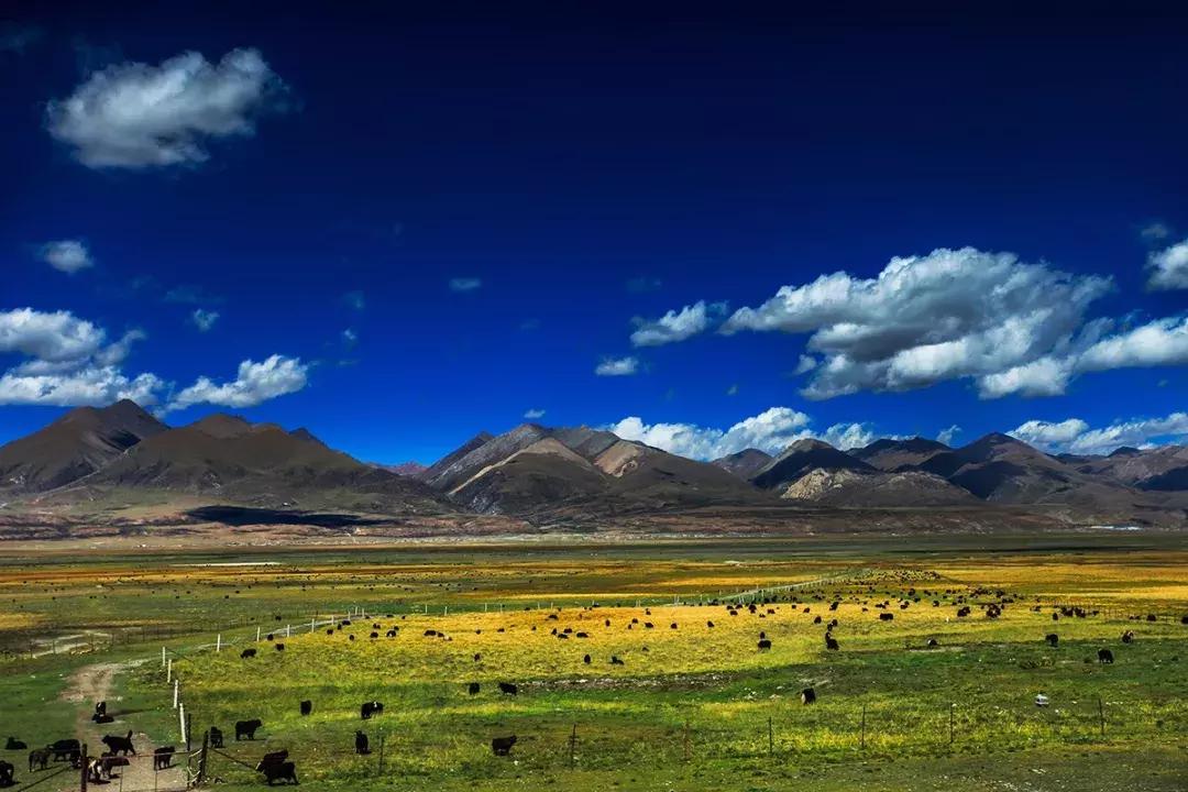 滇藏线西藏旅游攻略,西藏和西北旅游攻略路线