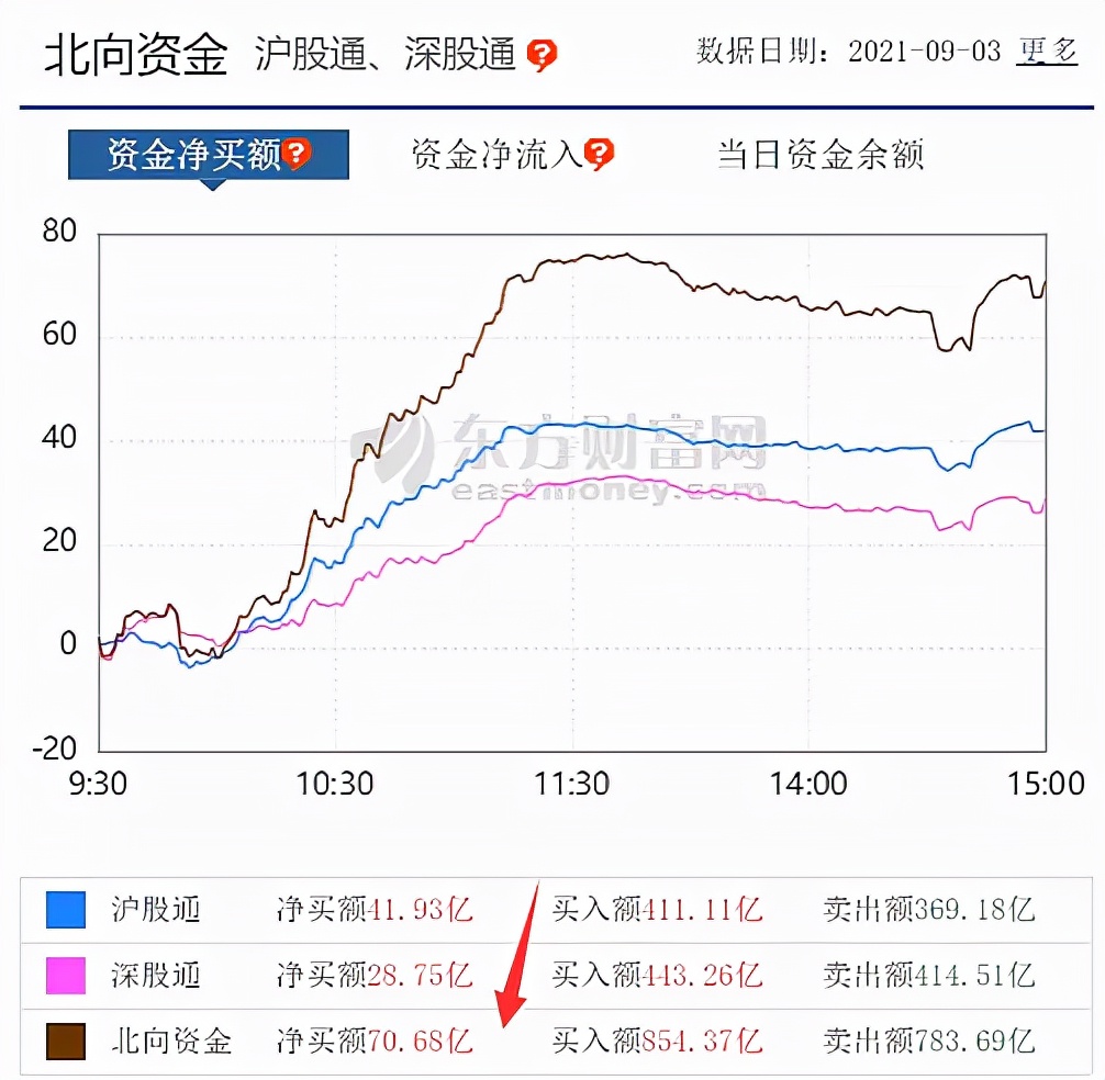 狠！小鳄鱼5亿+，砸了2个跌停......