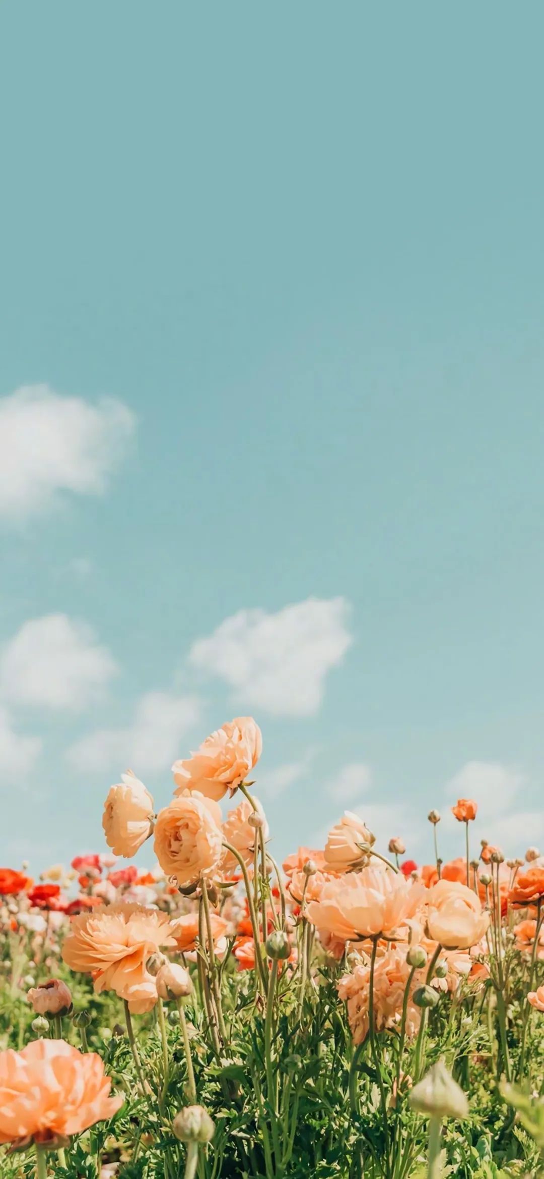 小清新全屏壁纸高清,小清新高清壁纸4k全屏无水印