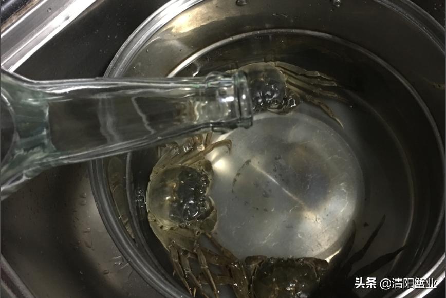 蒸蟹脚容易掉,海蟹蒸的时候黄漏了