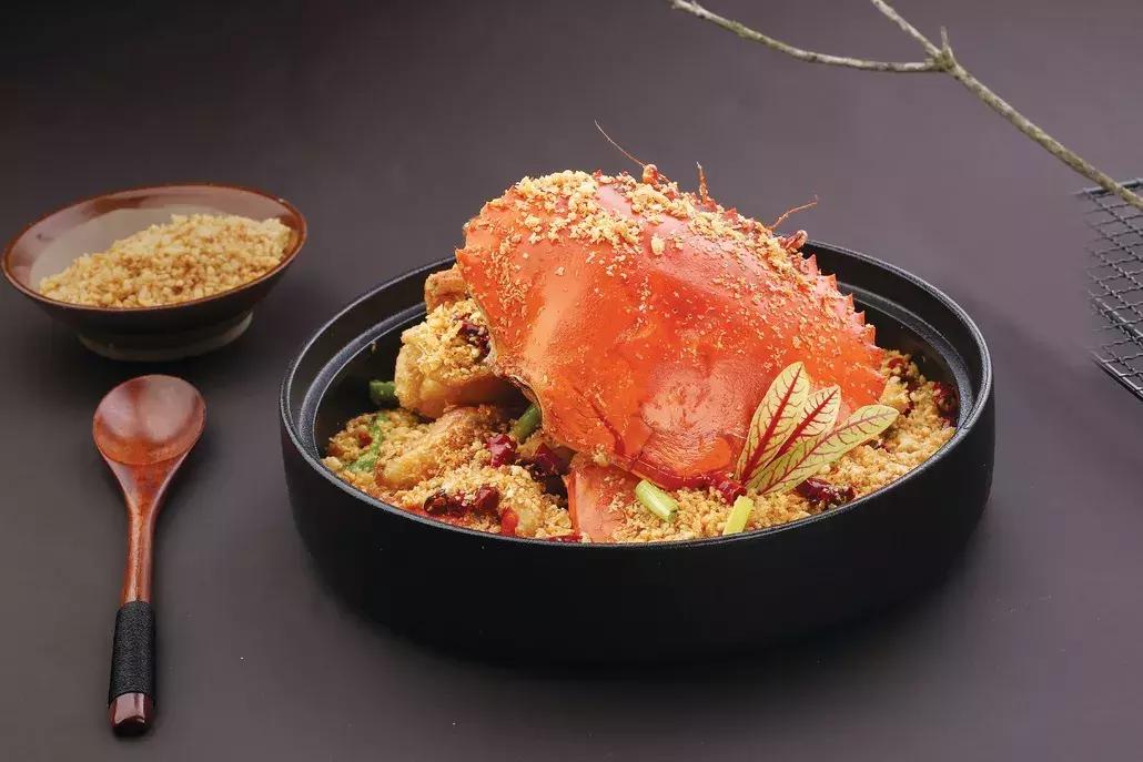 在行走中品味文化是一种生活方式,蛇口文化艺术