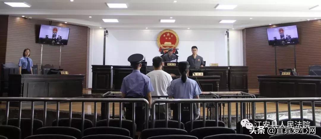 长记性啦,为啥在宜宾不能乱捕泥鳅黄鳝?江安县法院有话说