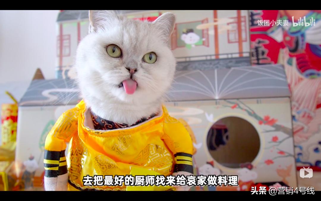 「扎堆大乱斗」还是「四两拨千斤」，顽皮宠物B站超车之路｜案例