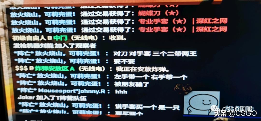 csgo大家都是怎么玩的,csgo需要钱才能玩呢