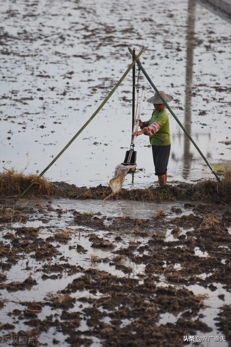 湖北话通用词,湖北话土话100句