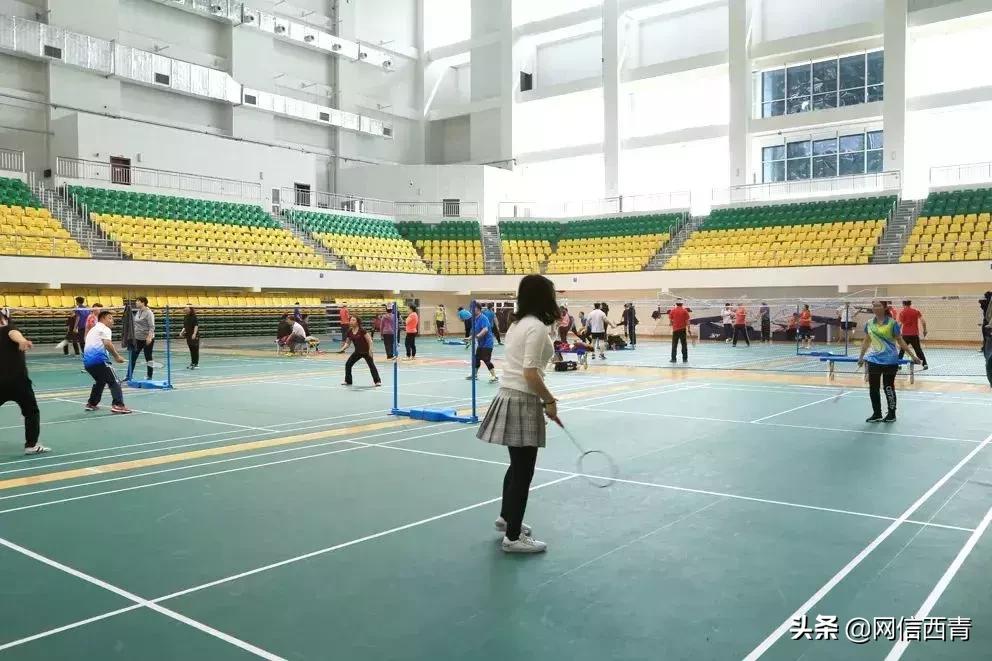 体操王子李宁走进天津西青——西青区全民健身运动会倒计时100天暨天津西青李宁运动中心开园活动举行