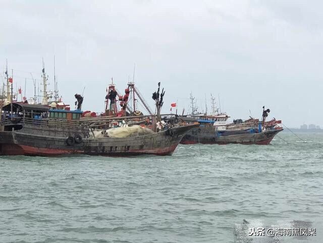 海南冬天最适合生活的地方,海南的冬天海滩
