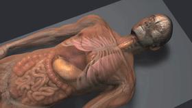 棺材木乃伊套装,黄金面具木乃伊