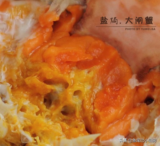 大闸蟹什么季节的肉比较肥,怎么挑大闸蟹又肥又鲜南方