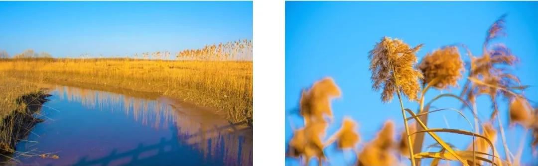 足不出沪的假期,足不出沪游上海