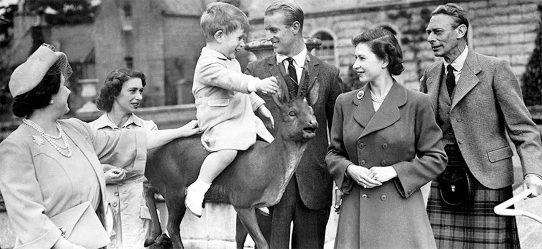 英女王母亲宠爱戴安娜,英女王哈里奶奶