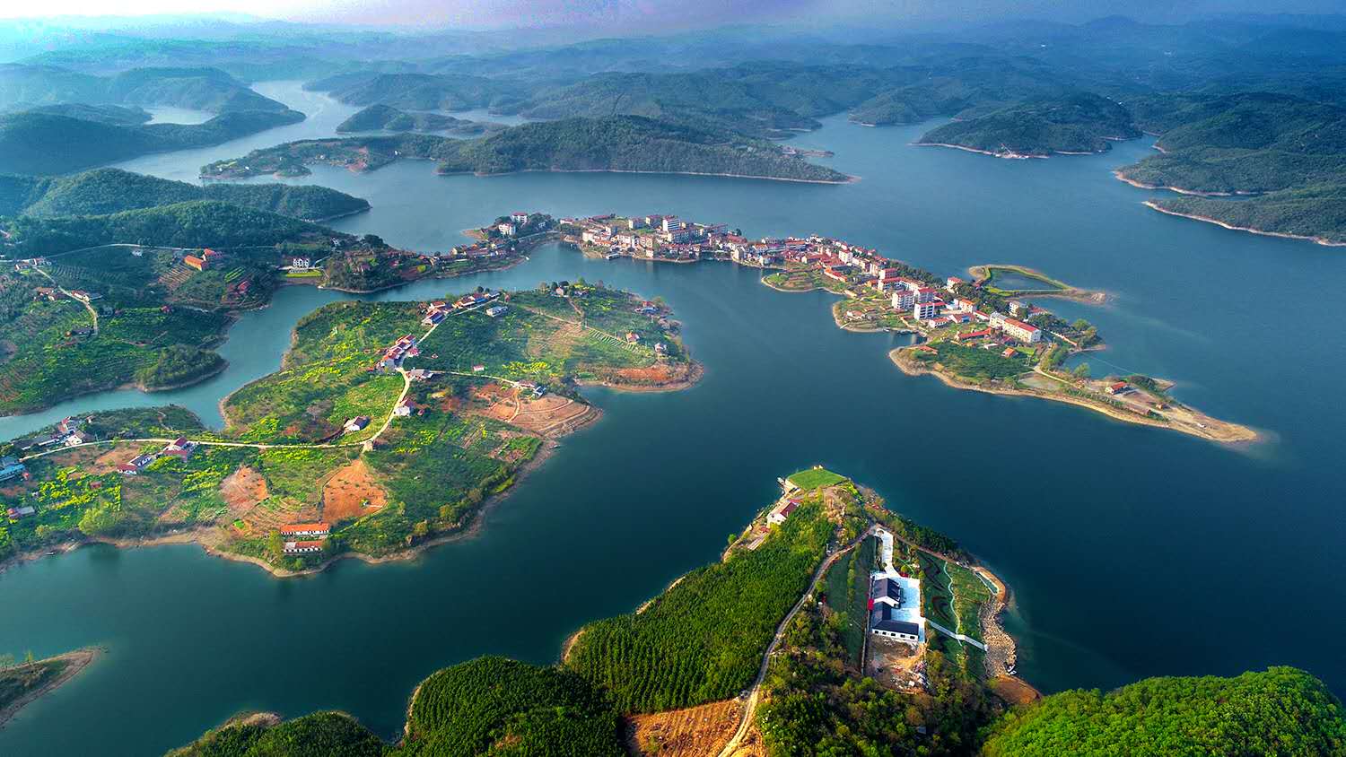 文化视野深度解析,文化视野下的文化视野