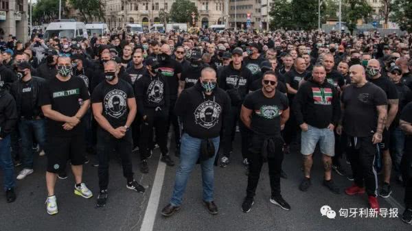 匈牙利球迷打架,球迷打架致死事件