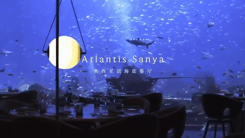 三亚最美海岛酒店,三亚度假酒店攻略