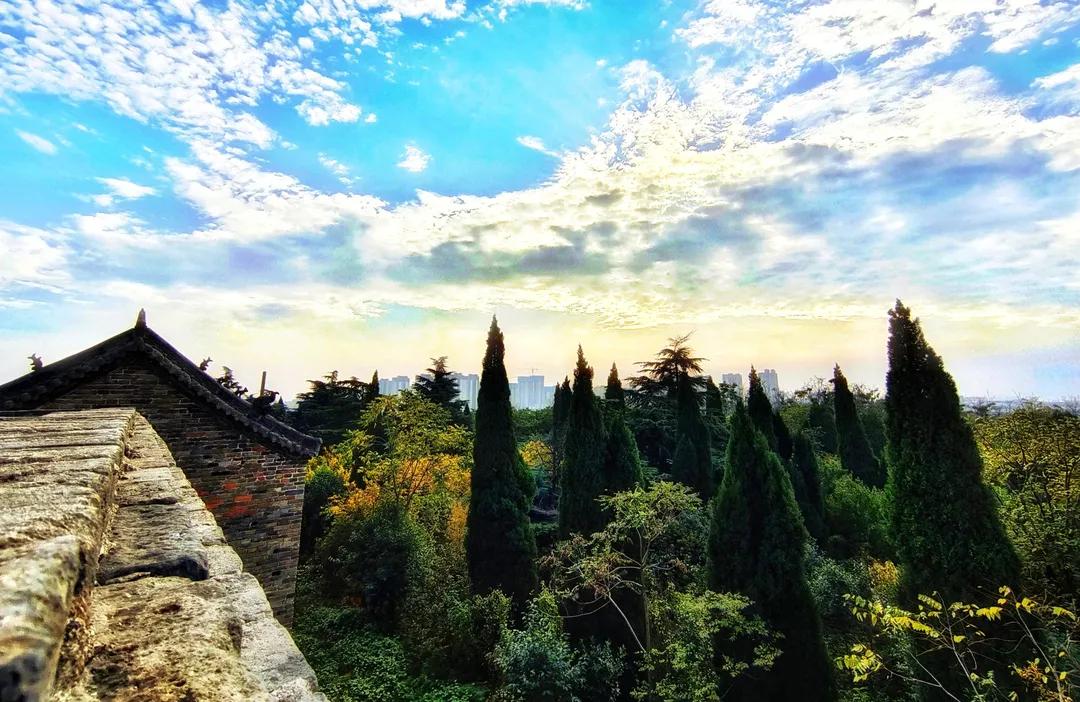 洛阳有收藏玉器的地方吗,洛龙区游玩收藏榜