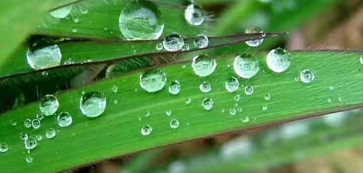 楹联歌赋集锦,楹联对句七绝写法