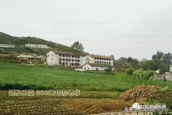 朝鲜七八十年代农村照片,80年代朝鲜老照片农村