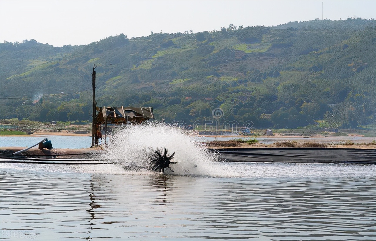 最挣钱的养殖业养殖什么不愁销路,见效快的养殖业十大暴利养殖行业