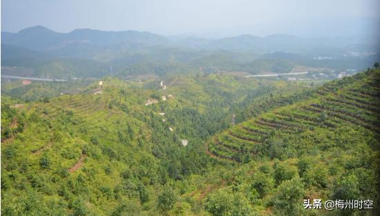 第十届平远山地徒步大会,广东48公里徒步大会