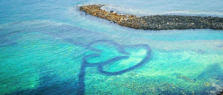 蚝凭“海”贵｜品尝生蚝犹如亲吻一片大海