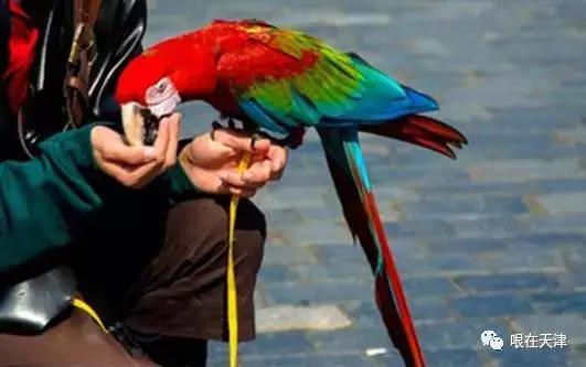 天津哏儿都的好去处,天津哏儿都