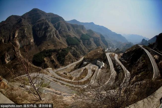 七夕宝典|山有木兮卿有意，昨夜星辰恰似你~